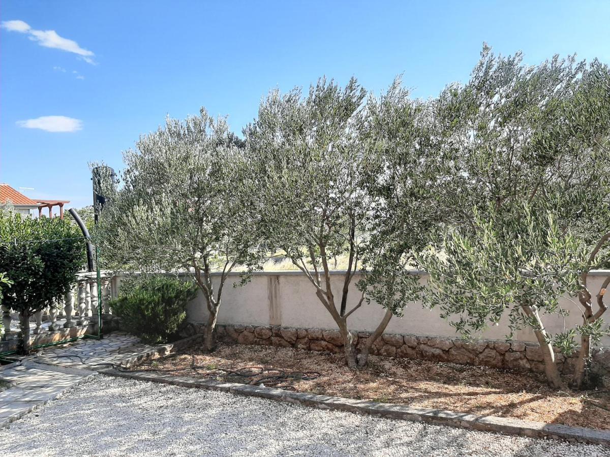 Apartman Pajo سيلين المظهر الخارجي الصورة